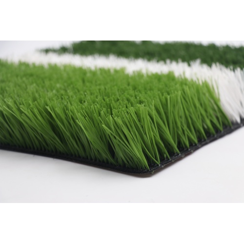 football grass details