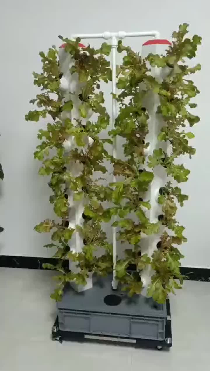 Hydroponics