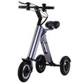 FS-18L 10inch  3 wheel electric scooter 