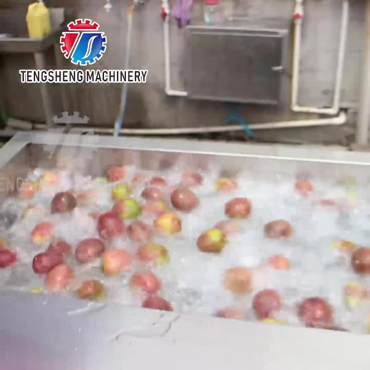 Linha de classificação para lavagem e secagem de frutas