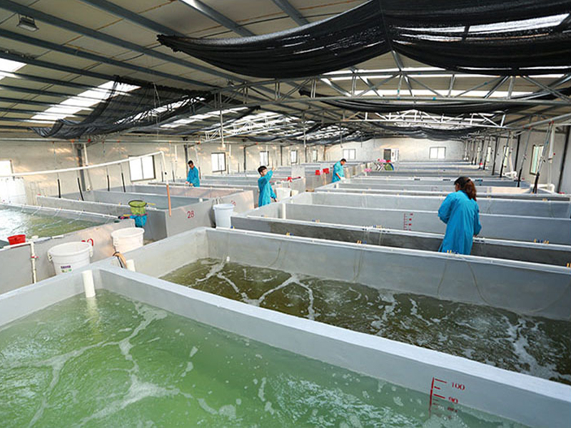 Guangdong YueQun Biotechnology Co., Ltd.