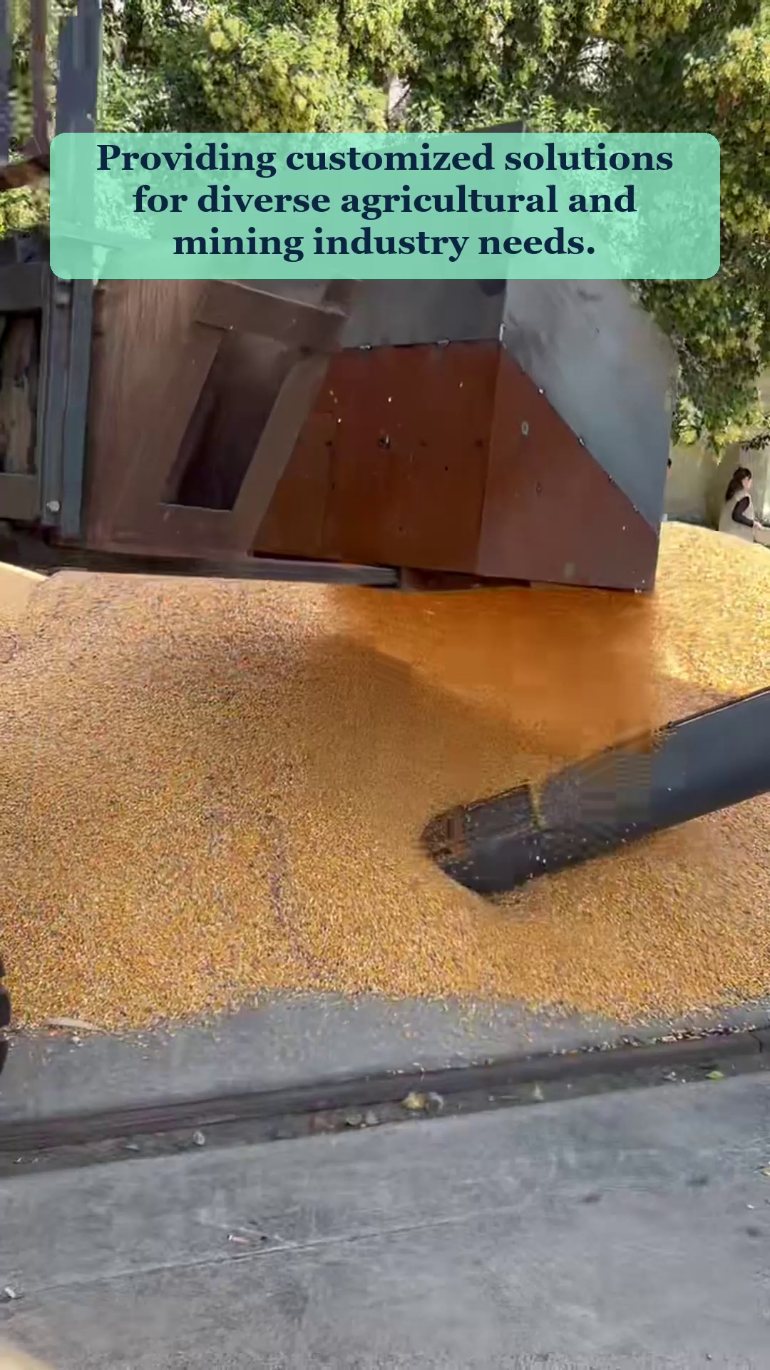 Vidéo 33