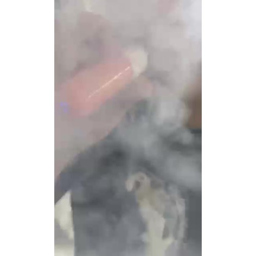फ्लम फ्लोट