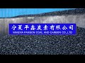 NINGXIA PANSON COAL AND CARBON CO., LTD