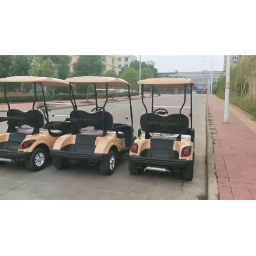 Golf cart a 2 posti con alimentazione a gas o elettrica