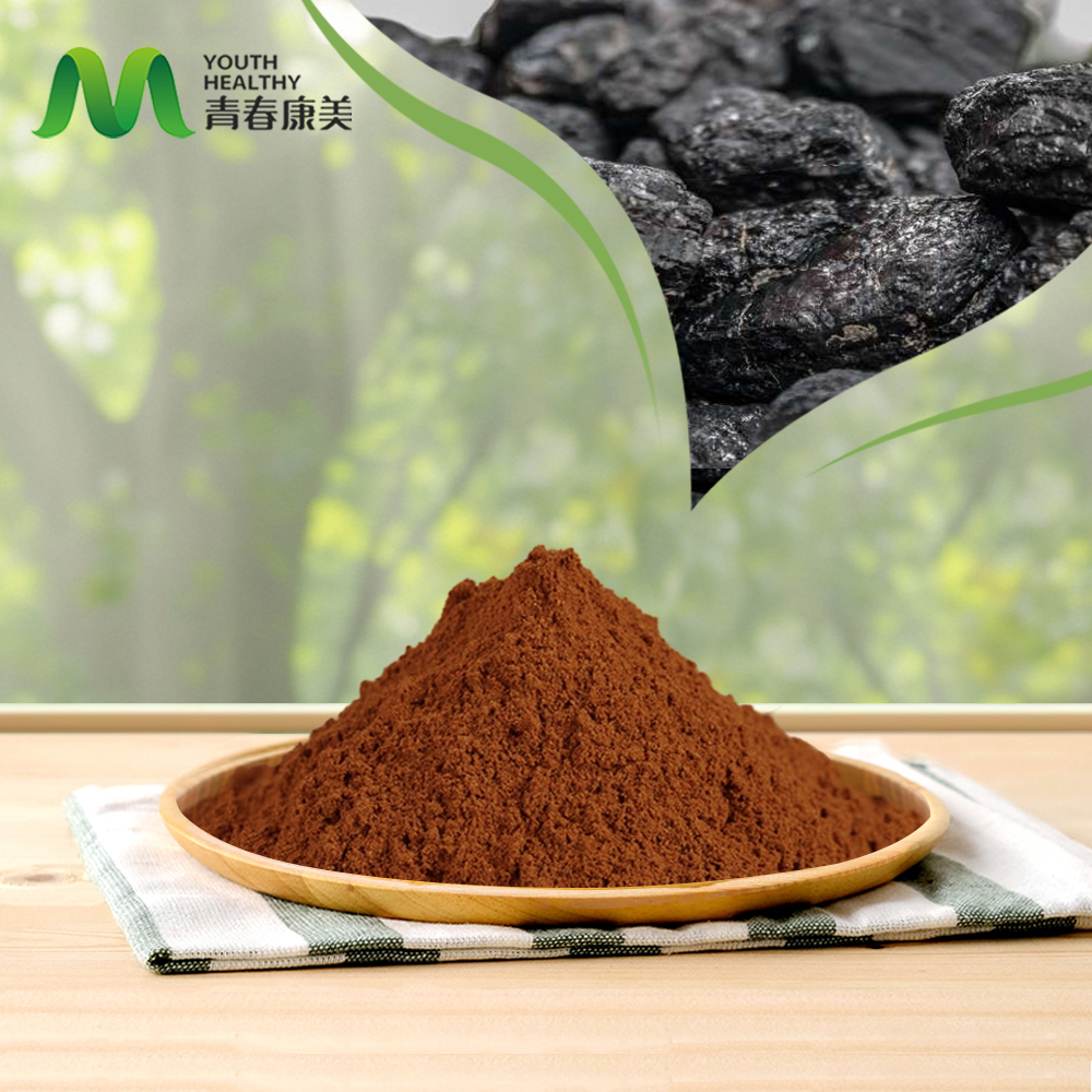 10 motivi per cui la polvere di estratto di Shilajit è un punto di svolta per la salute