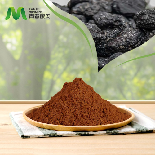 10 motivi per cui la polvere di estratto di Shilajit è un punto di svolta per la salute