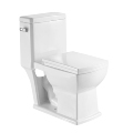 North America MJ-T105 MIJIC cUPC One Piece Water Closet Toilet with S-Trap1
