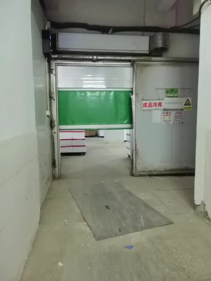 High speed door