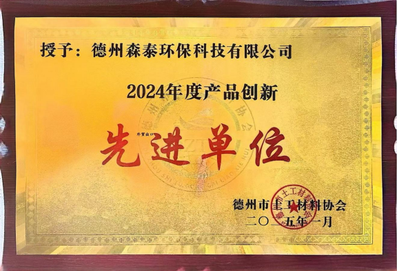Exemplary organization of Product Innovation in 2024