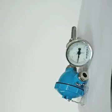 Temperature sensor