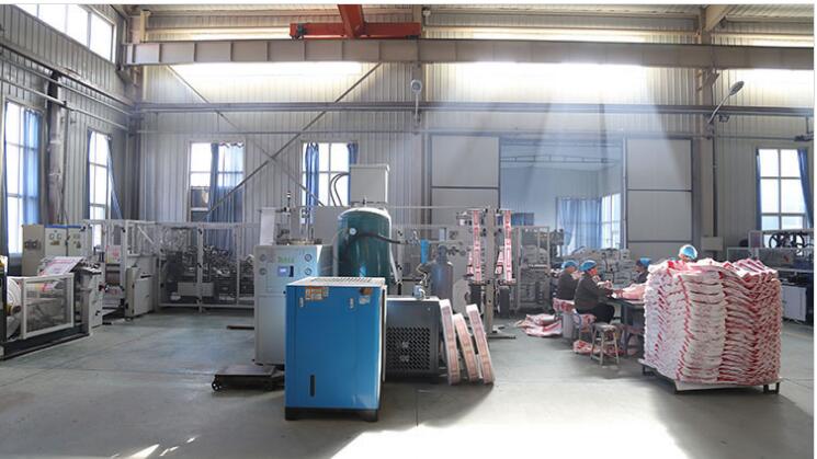 Shijiazhuang Boda Plastic Chemical Co., Ltd.