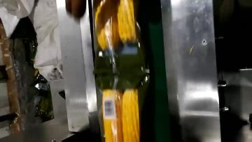 GQ-450 pillow packing machine