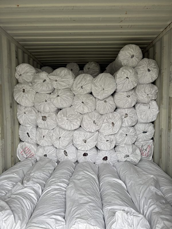 _20250317164429_副本_副本