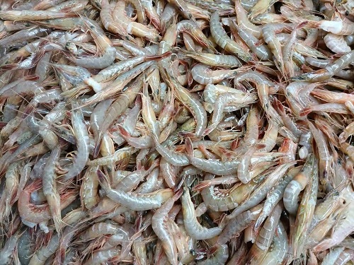 ZHEJIANG EVERNEW SEAFOOD CO.,LTD