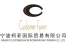 Ningbo Customer Favor Trading Co., Ltd.