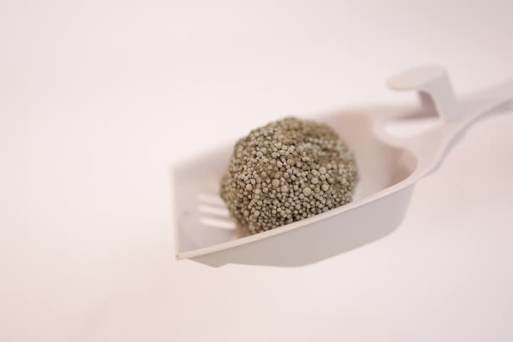 মিশ্র আকার জুঁই সুগন্ধি Bentonite বিড়াল লিটার