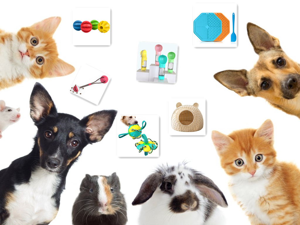 Chengdu Augus Science Technology Co., Ltd.