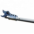 Electric Pruning Shears for High Trees1