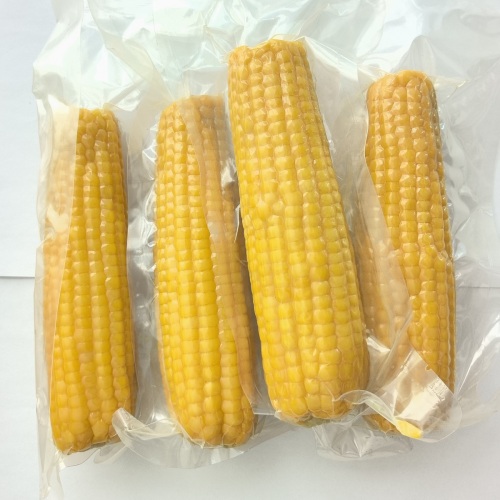 6701 high quality yellow sweet corns