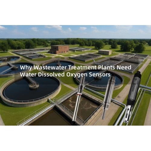 Why Wastewater Treatment Plants Need Water Dissolved Oxygen Sensors