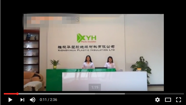 Video of XYH