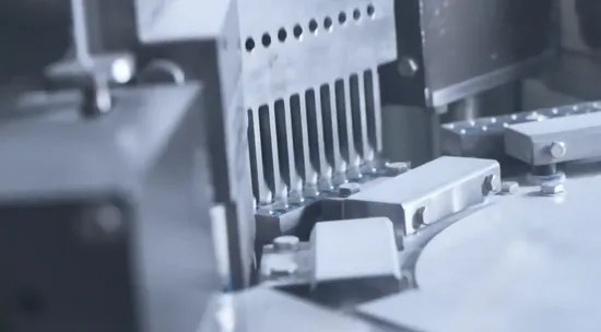 OEM Saw Palmetto Extract Supplement for Support Prostate Health Saw Palmetto Capsules for Man1