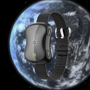Smart Pet Collar