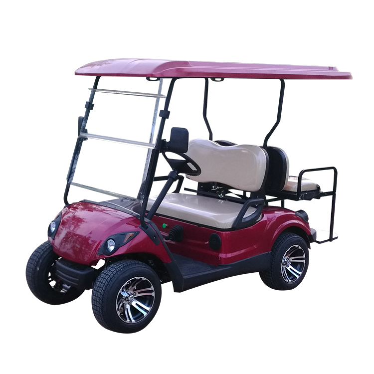 2 +2seater golf cart