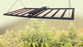 10 bar grow light - detachable driver