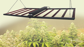 10 bar grow light - detachable driver