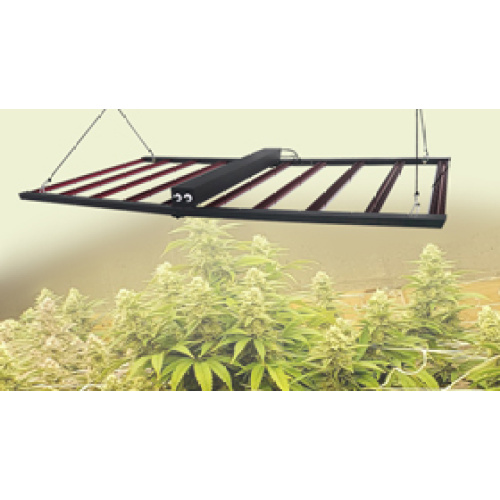 10 bar grow light - detachable driver