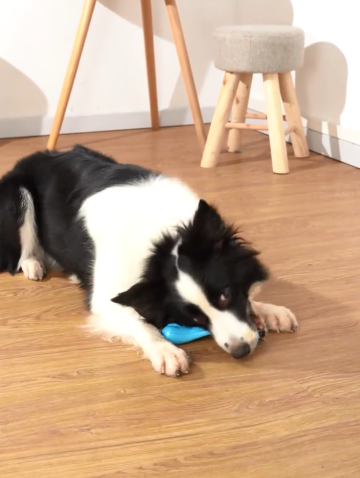 DOG CHEW BONE TOY WITH BEEF FLAVOR