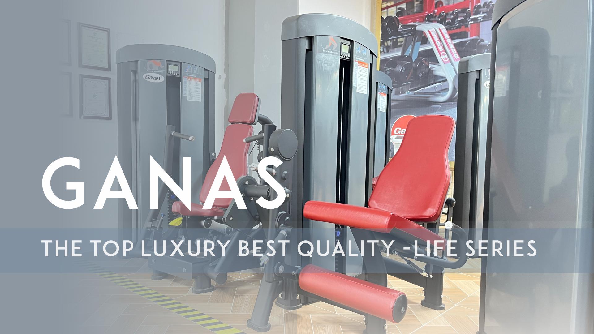 Ganas top luxury best quality-Life series