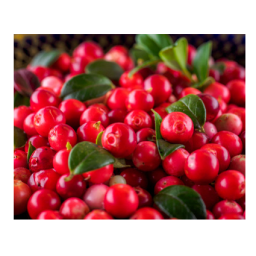 Pourquoi l'extrait de bilberry est le superaliment ultime pour lutter contre l'inflammation