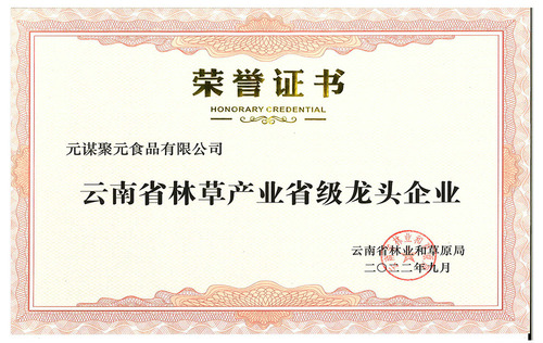 Yunnan Provincial Forest & Grass Industry Leading Enterprise Honor Certificate