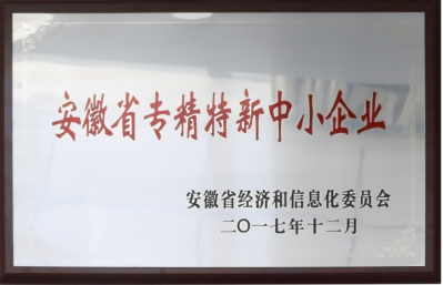 ANHUI PROVINCIAL SPECIALIZED, REFINED, DIFFERENTIATED AND INNOVATIVE SMALL AND MEDIUM‑SIZED ENTERPRI