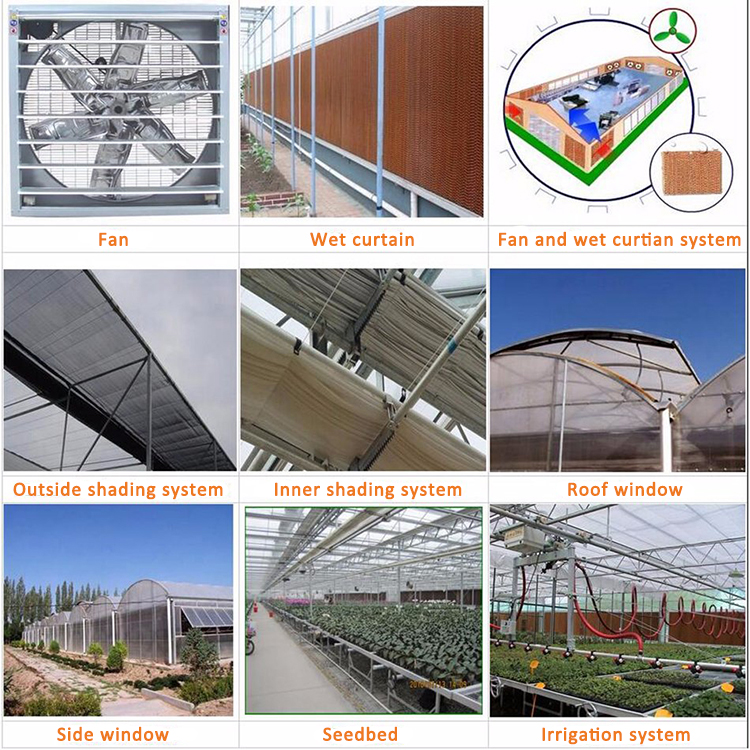 Agriculture-Plastic-Film-Greenhouse-for-Vegetables-Flowers-Garden