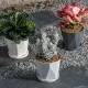 Green Plant Potted Succulent Creative Flower Pot