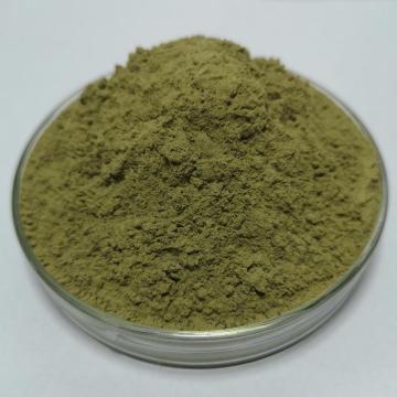 China Top 10 Kale Powder Brands