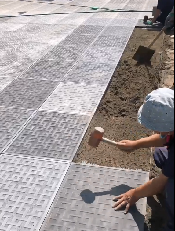 Stripe of Solidarity (Math)