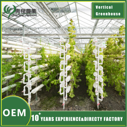 ¿Cuáles son las diferencias entre el invernadero y otros invernaderos?