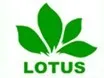lotus