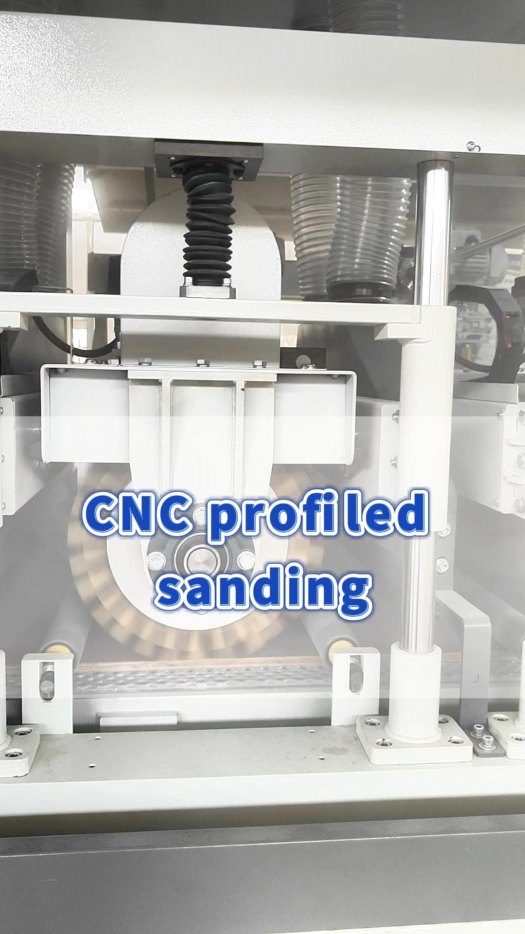 SDS13-Sanding Furniture Veneer Door Panels