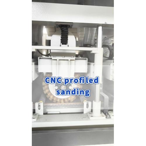 SDS13-Sanding Furniture Veneer Door Panels