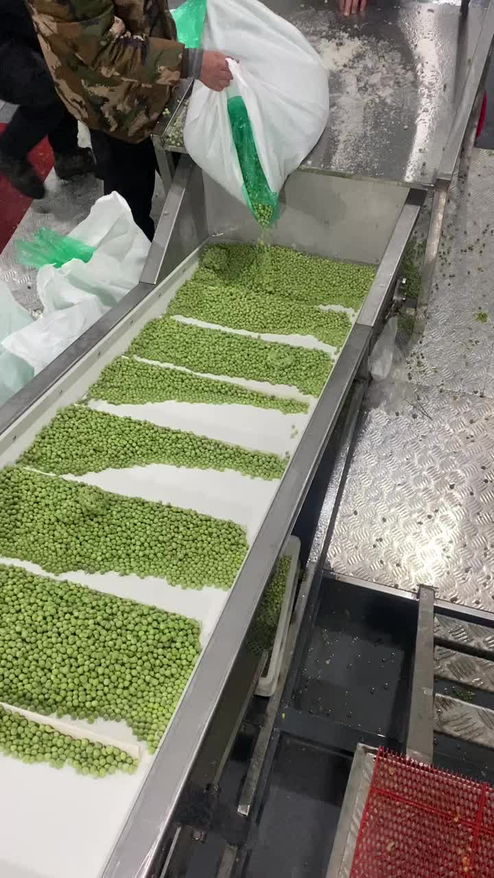 IQF peas production line