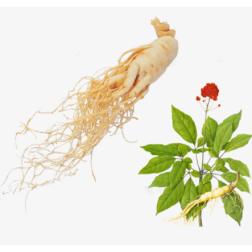 Do you Really Know about Ginseng?