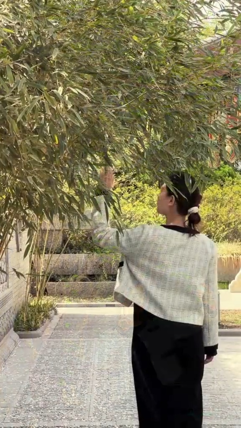 A verdejante floresta de bambu em um pátio chinês