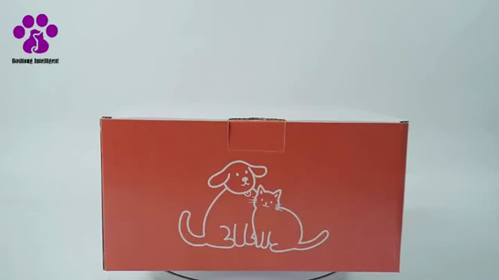 Pet water dispenser