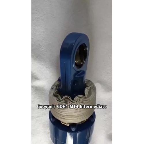 CDH1 MT4 100 56-1000 Hydraulic Cylinder